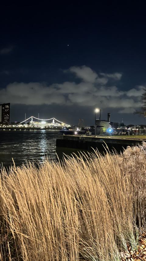 🇳🇱 Submarine and Venus, Rotterdam
