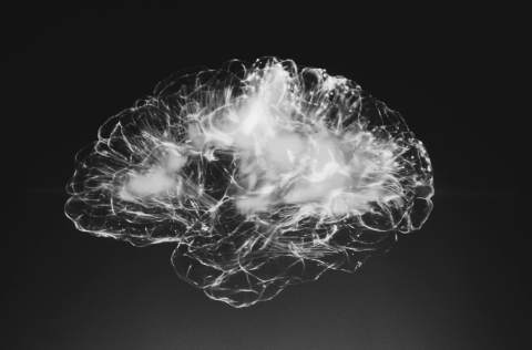 A picture of a brain